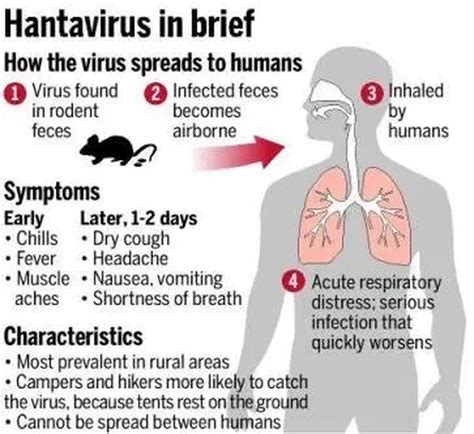 hantavirus testing near me